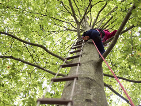 L'Arbre à Lutik : Grimpes d'arbres, descente en rappel, coasteering