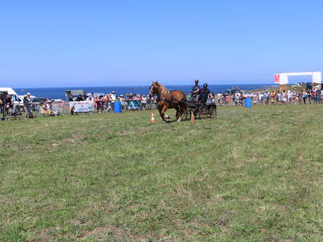 Fête du cheval de Landunvez