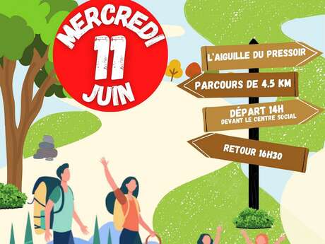 Petits pas dans les bois