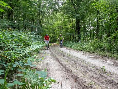La Plaine du Moulin à VTT