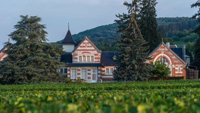 Domaine Henri de Villamont