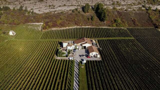 Domaine de Tresbaudon