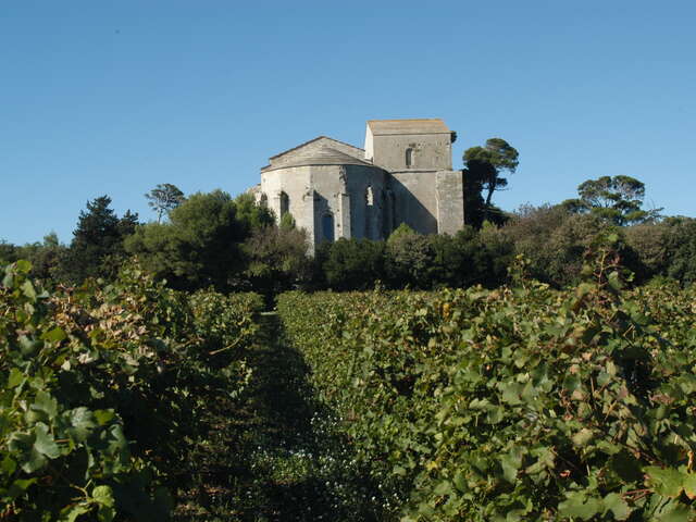 DOMAINE DES COMPAGNONS DE MAGUELONE