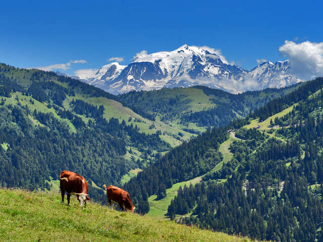 Snack in the mountain pastures, at the Chalet Blanc