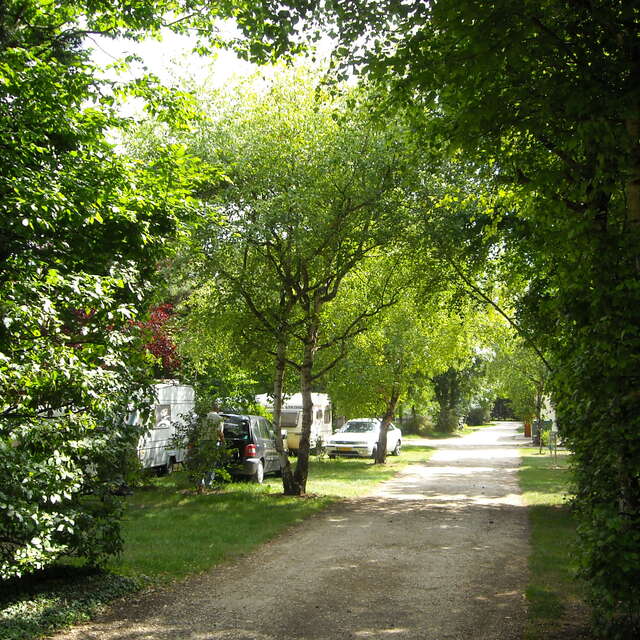 Camping Les Bouleaux