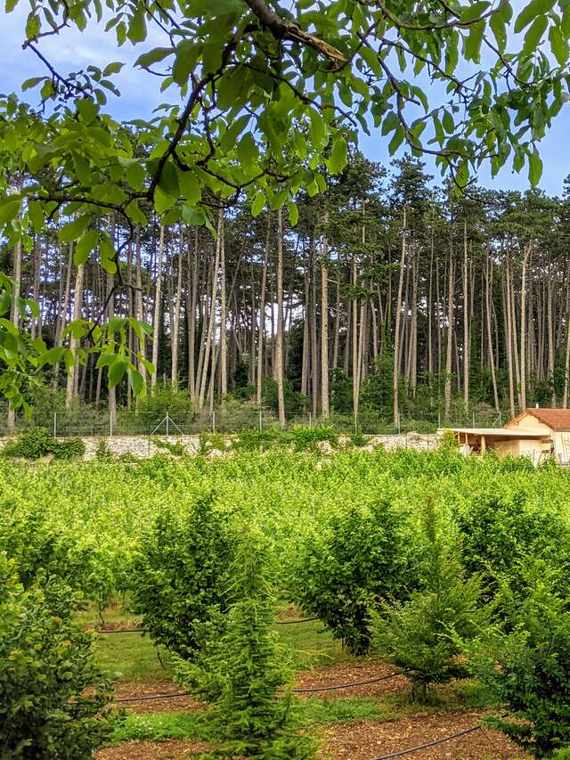 Balade, découverte et dégustation chez Jean-Louis : le Clos de la Belle Châtelaine