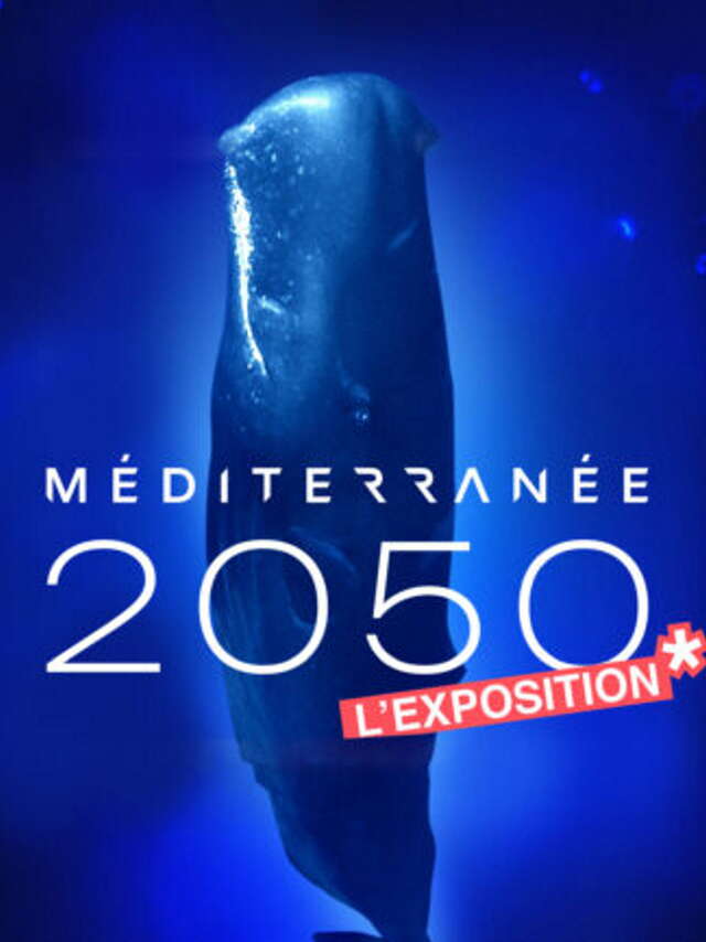 Exposition "Méditerranée 2050"