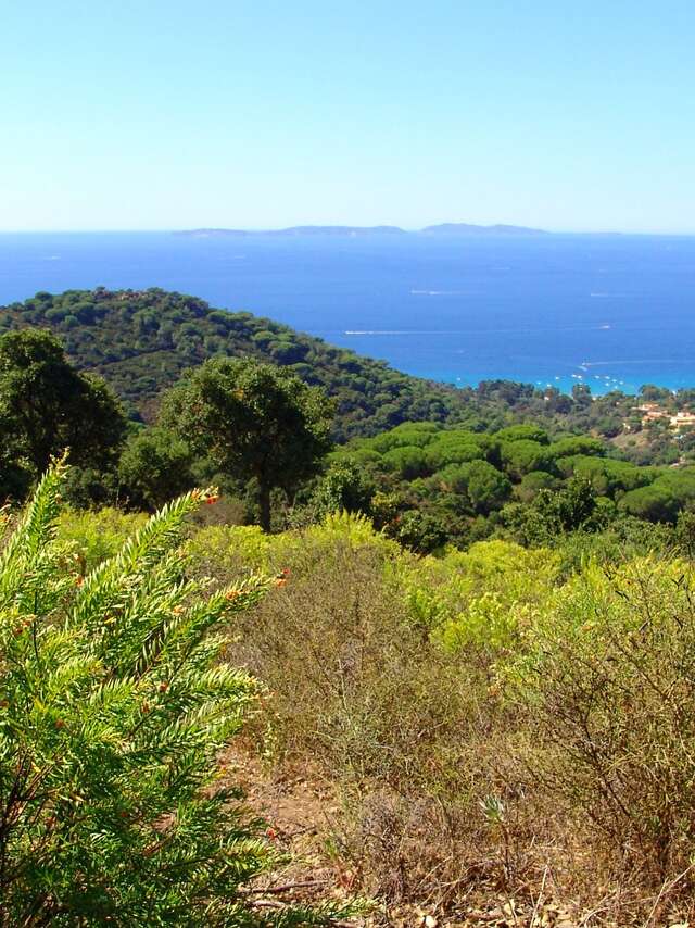Treffpunkt: Entdeckung der mediterranen Natur
