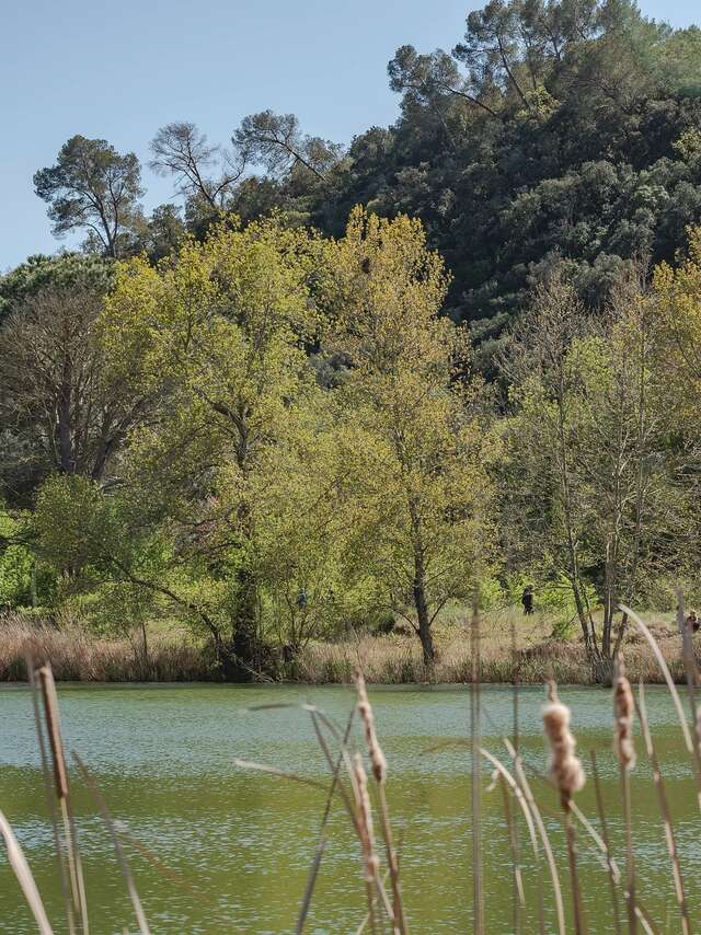 Ein Sonntag an den Teichen von Sauvebonne