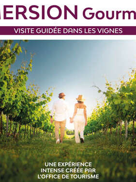 Immersion gourmande : Balade dans les vignes