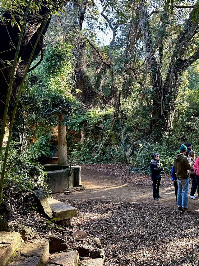 Visite thématique "Balade botanique au fil des saisons"