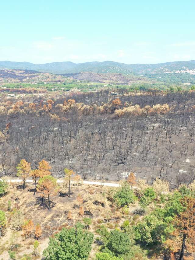 Umweltkonferenzen in La Londe les Maures