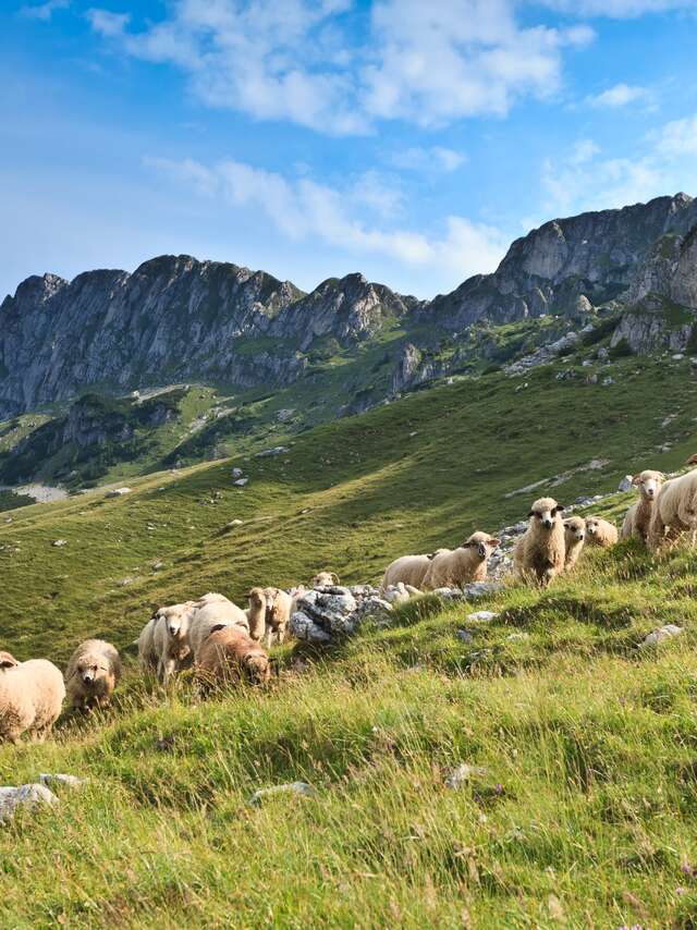 Rando Gourmande