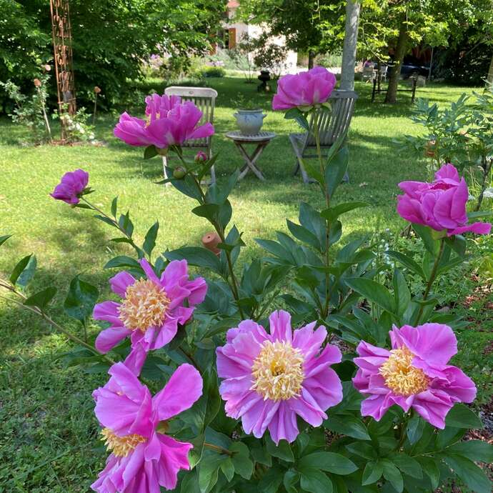 Le Parc Fleuri